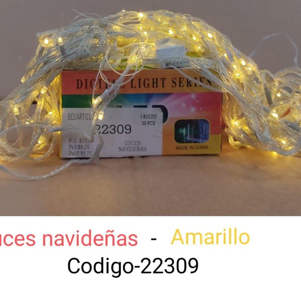 1213.jpg