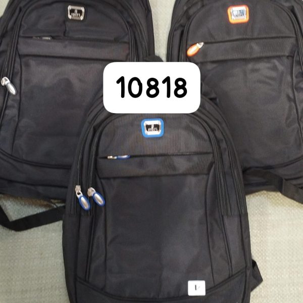 511.jpg